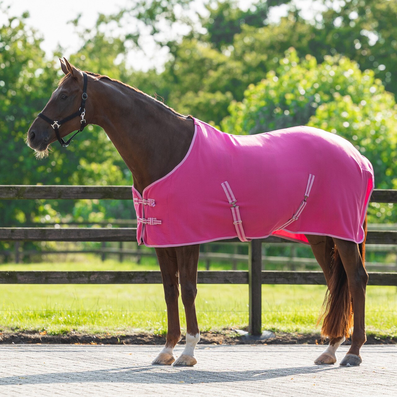 پتو اسب QHP مدل Polar Blanket — 1