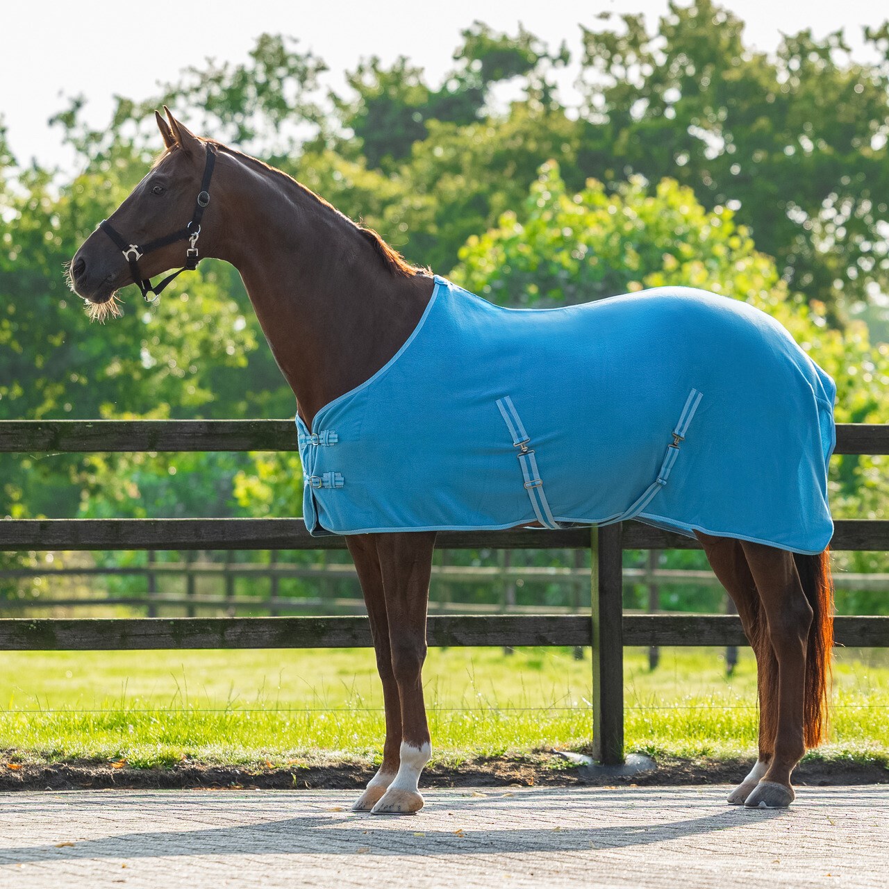 پتو اسب QHP مدل Polar Blanket — 5