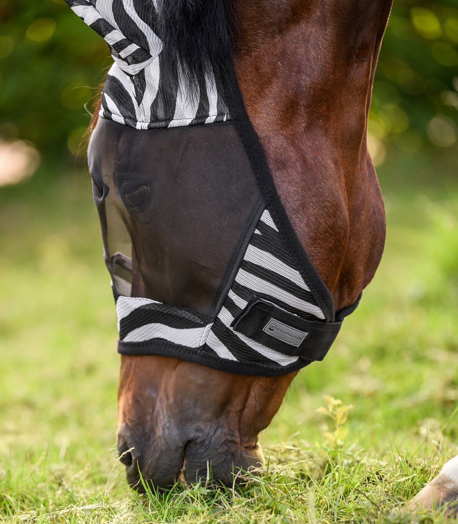 ماسک مگس اسب Waldhausen مدل Zebra — 4