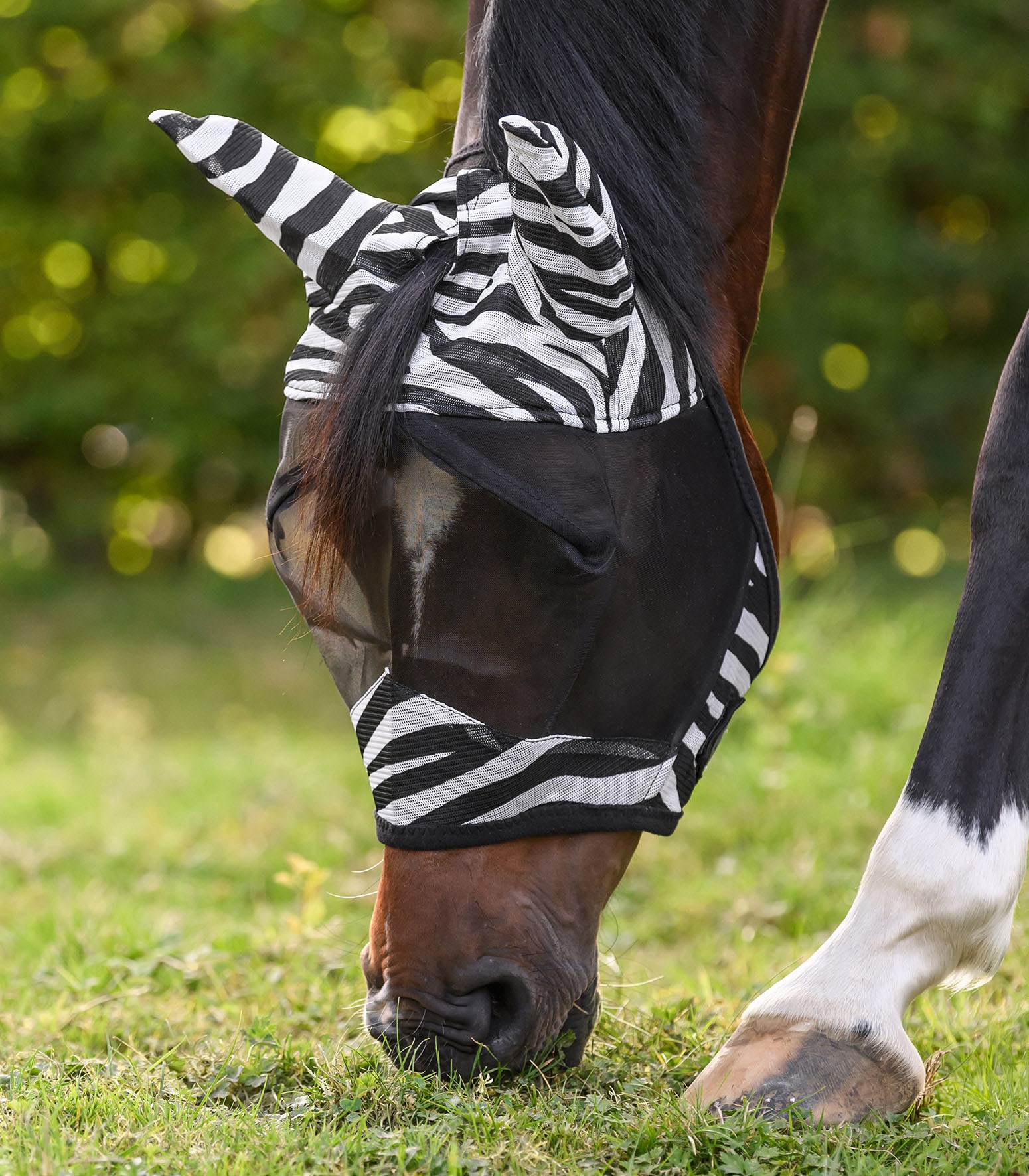 ماسک مگس اسب Waldhausen مدل Zebra — 3