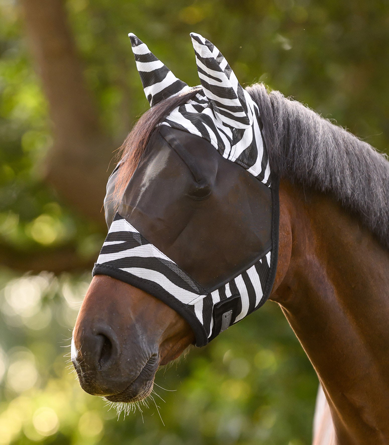 ماسک مگس اسب Waldhausen مدل Zebra — 2