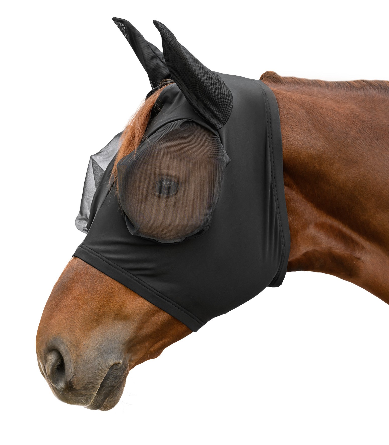 ماسک مگس اسب Waldhausen مدل Puck Flex - مشکی — 1