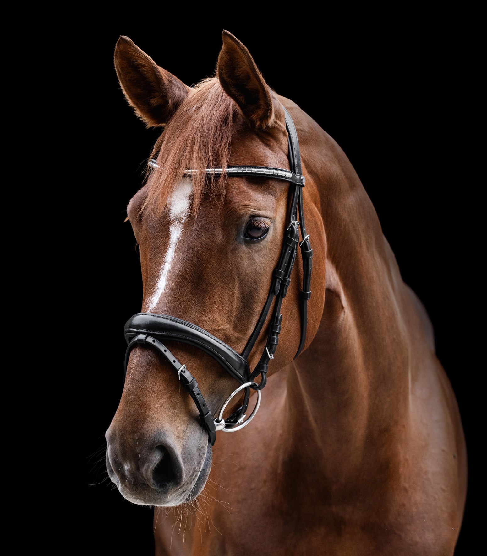 کلهگیر چرمی با دستجلو Waldhausen مدل X Line Clincher — 5