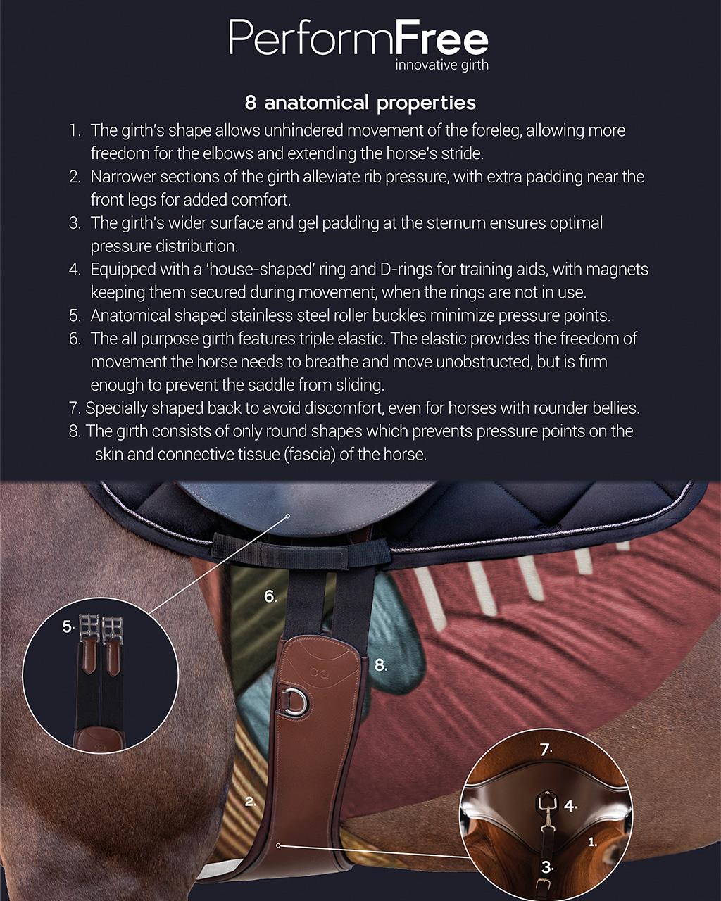 تنگ اسب PresTeq — 5