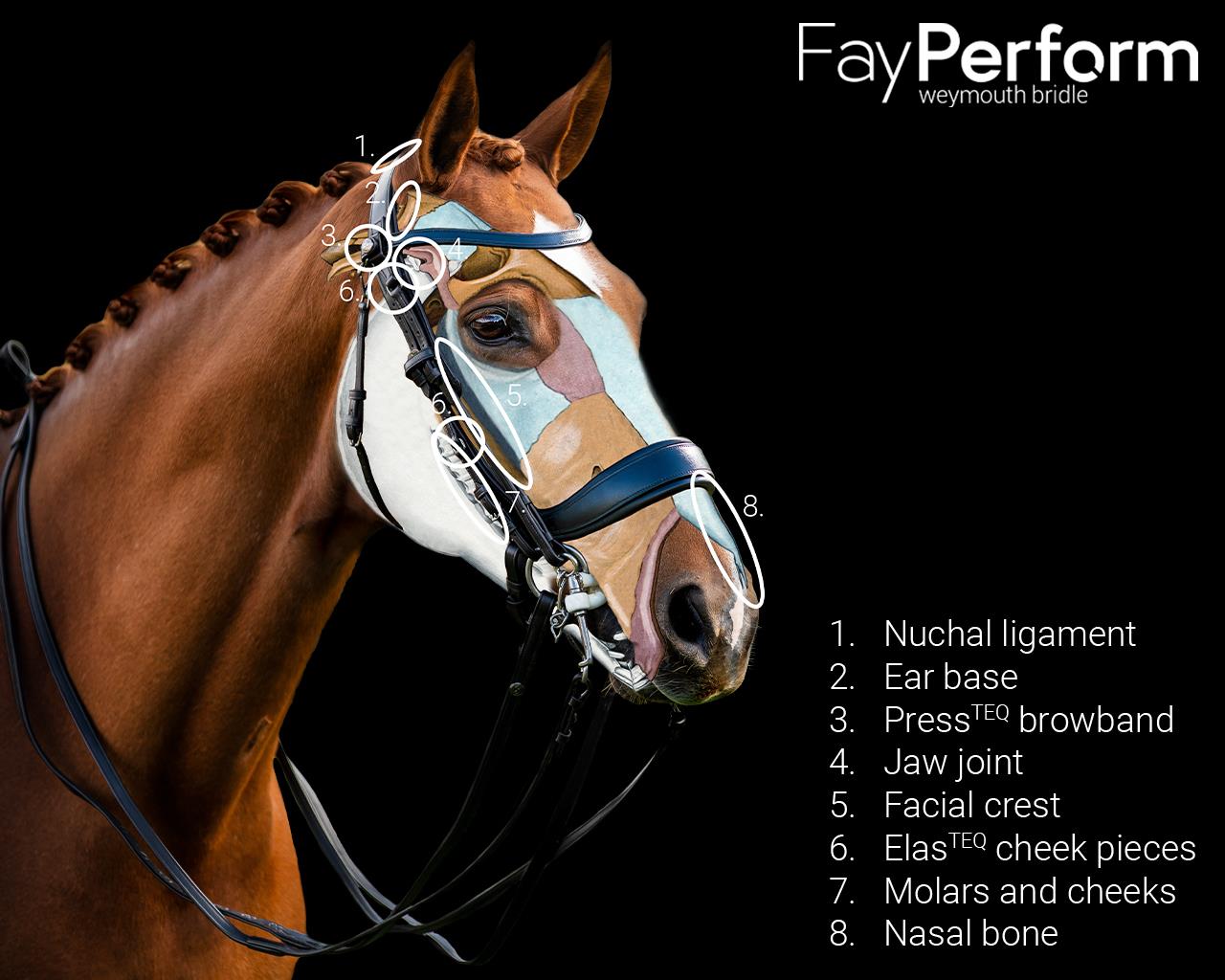 کلهگیر Weymouth PresTeq مدل FayPerform — 5
