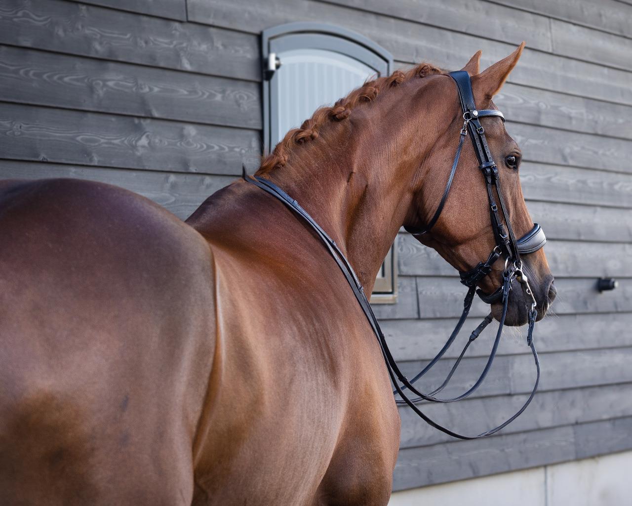 کلهگیر Weymouth PresTeq مدل FayPerform — 7