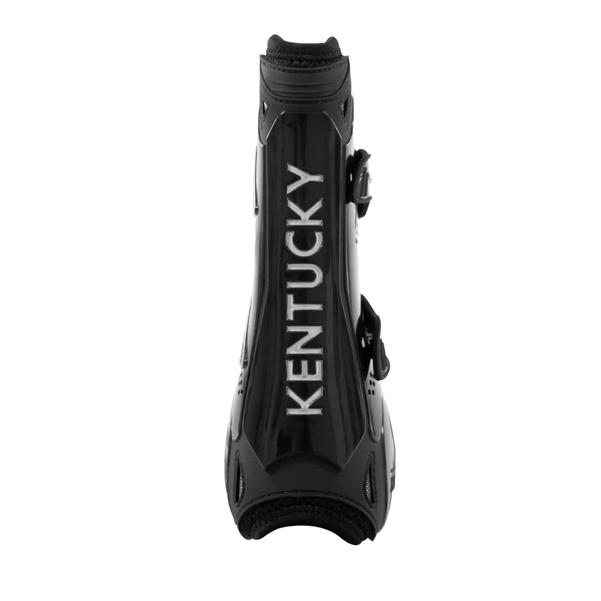 محافظ تاندون پای جلو اسب Kentucky — 3