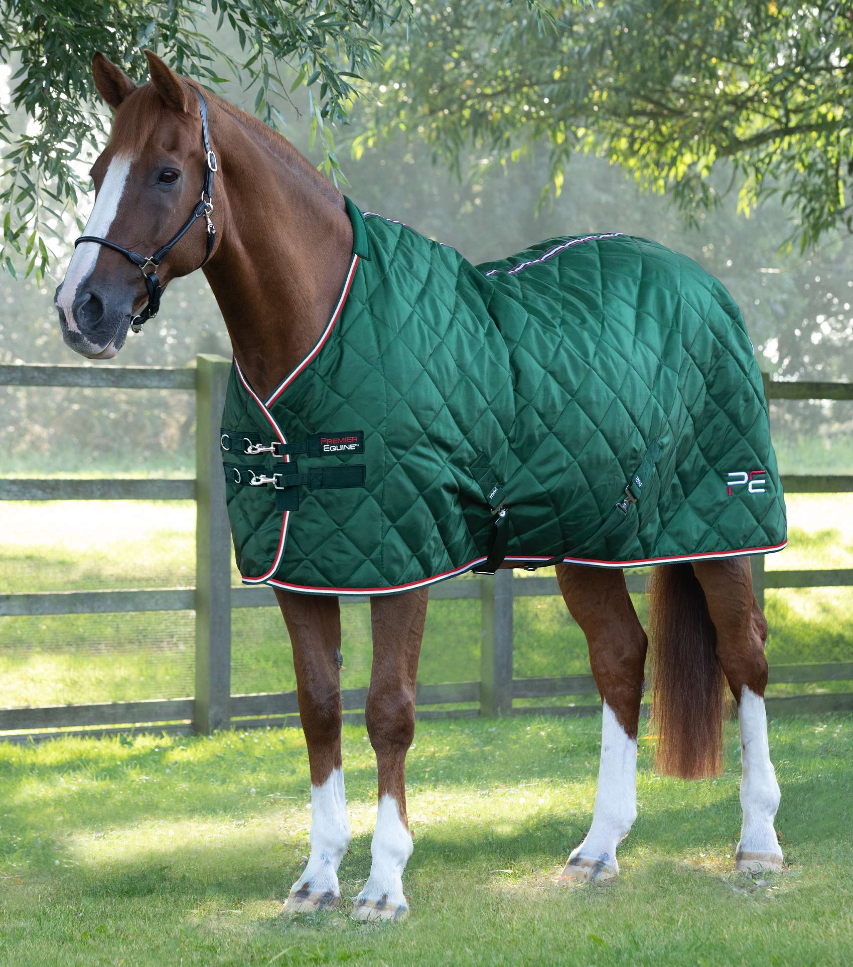 پتوی اصطبل Premier Equine مدل 200 گرمی سبز — 6