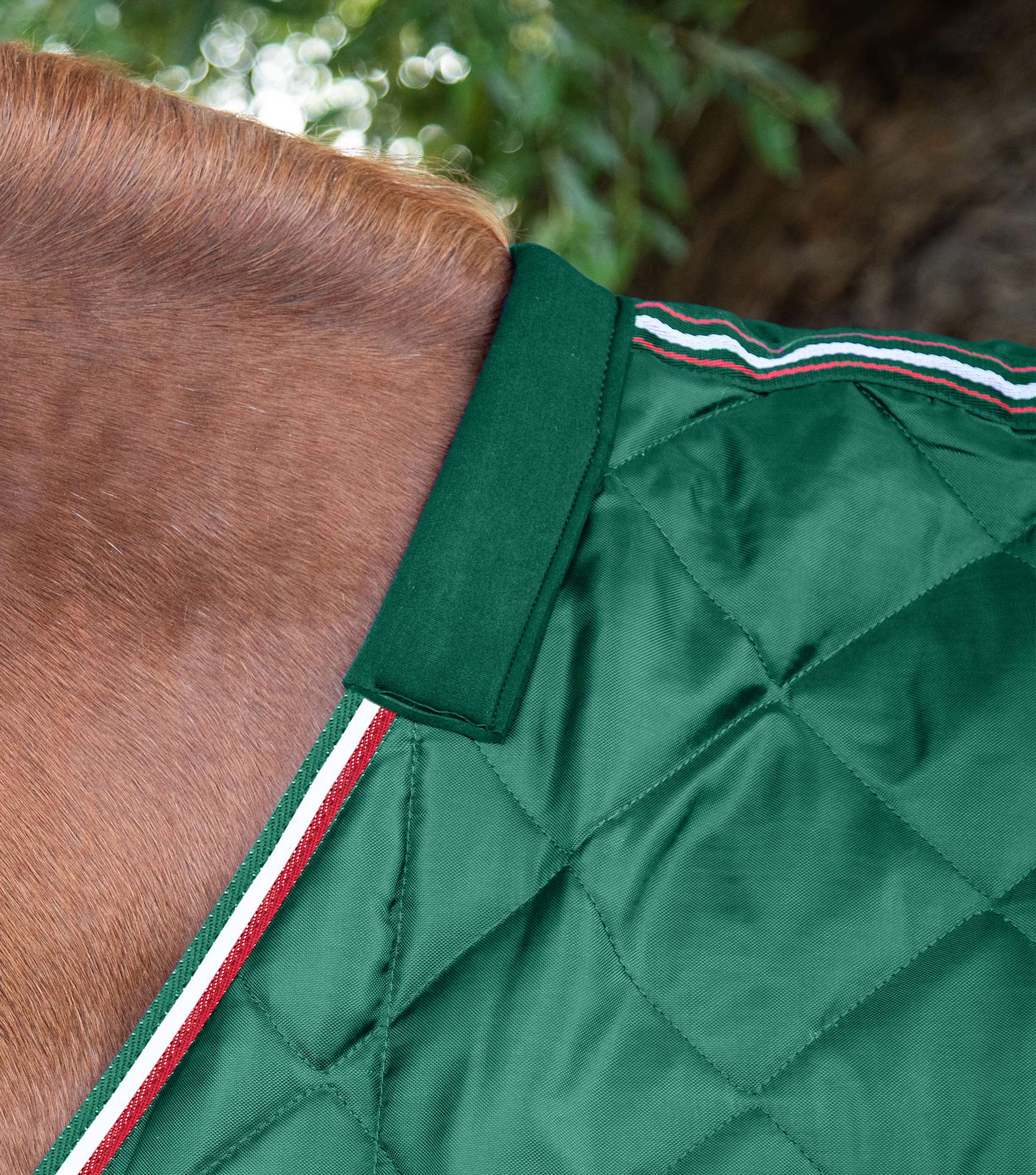 پتوی اصطبل Premier Equine مدل 200 گرمی سبز — 5