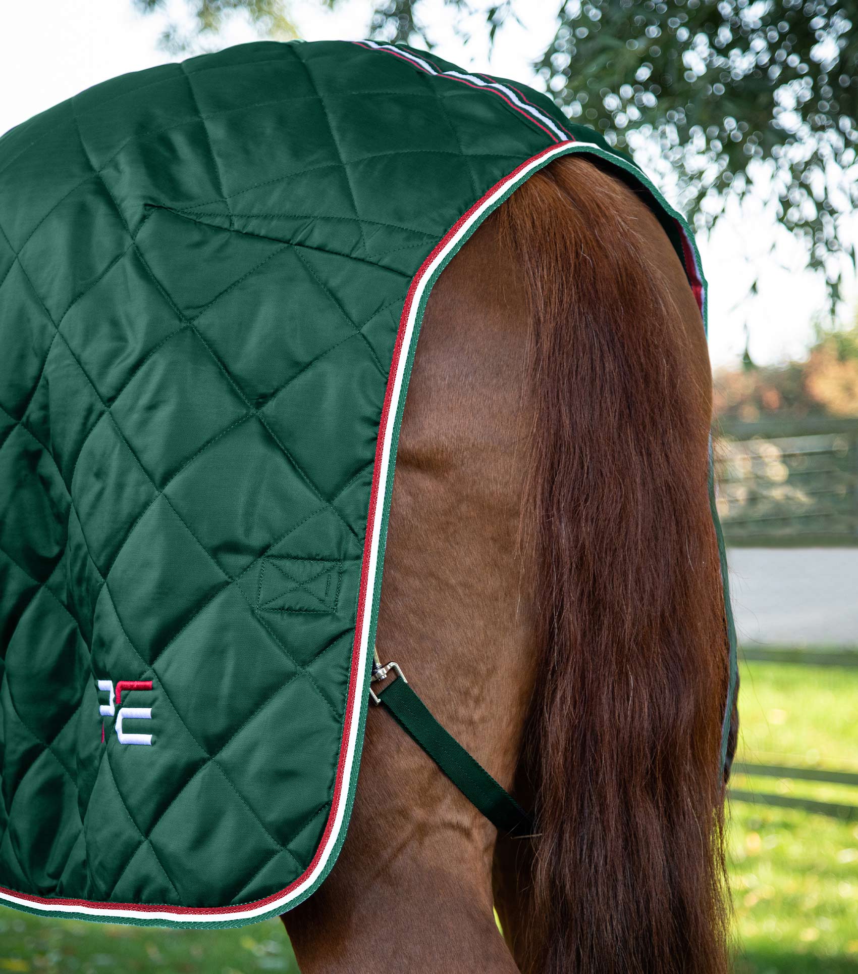 پتوی اصطبل Premier Equine مدل 200 گرمی سبز — 2