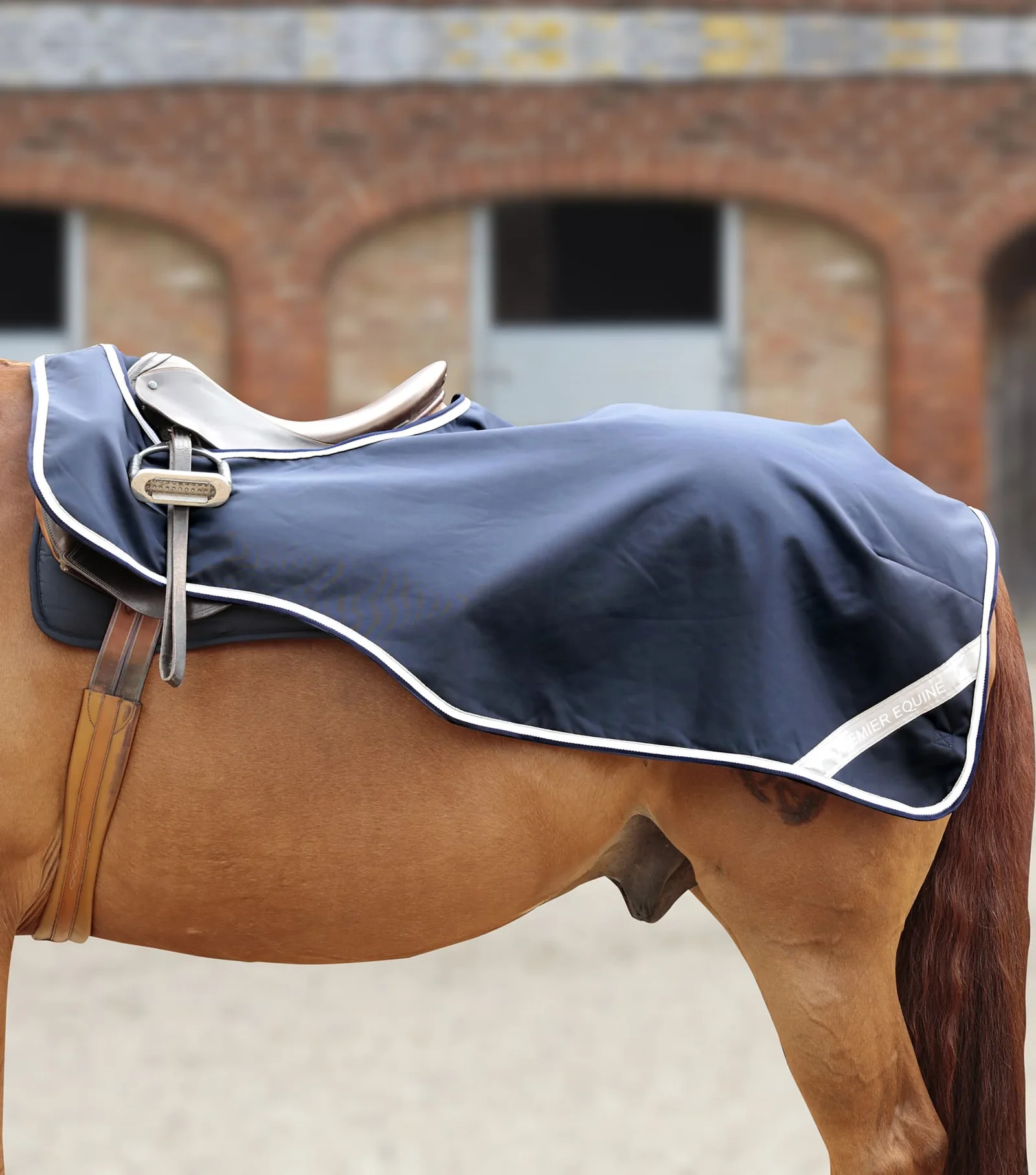 بلانکت تمرین Premier Equine