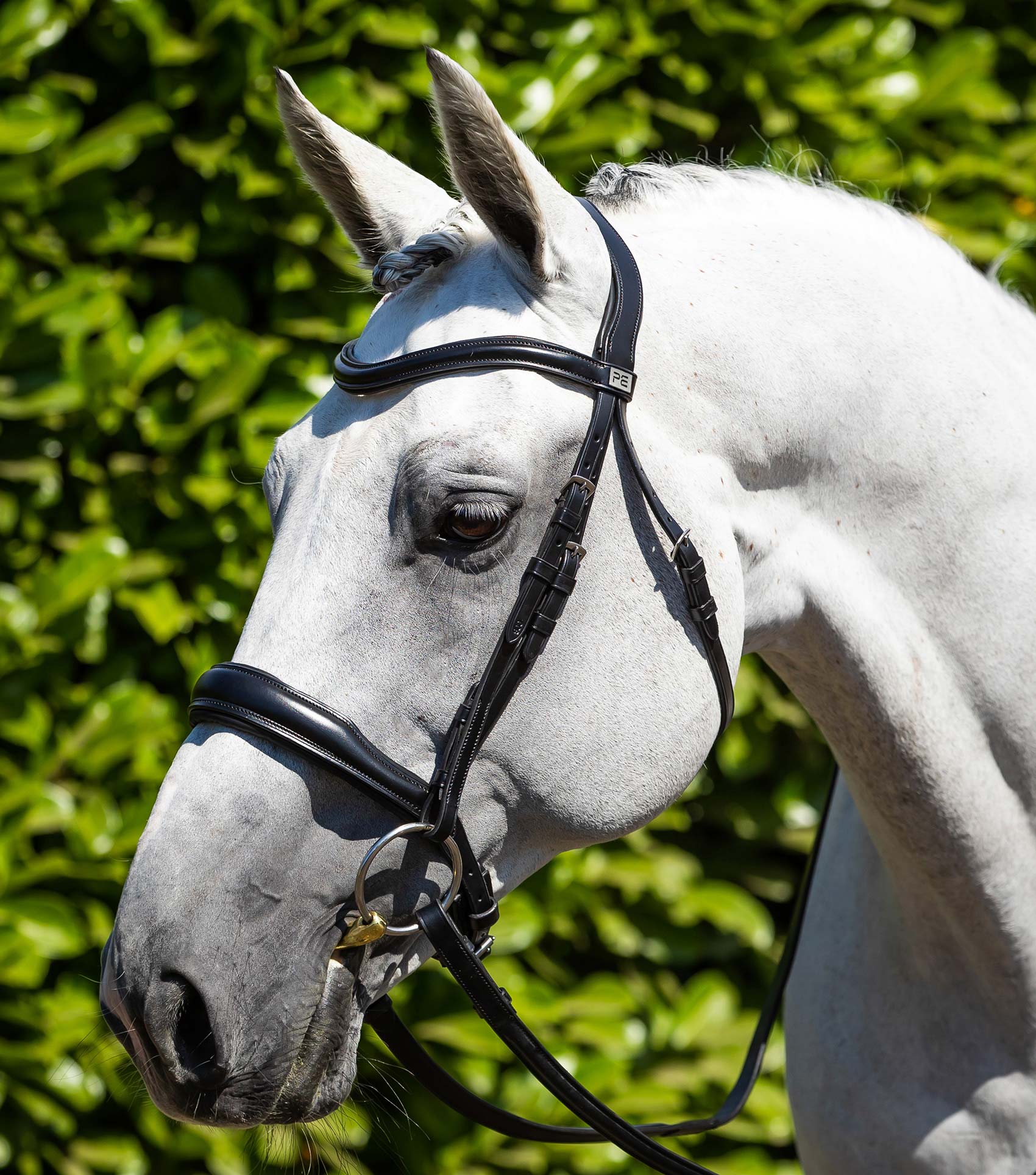کلهگیر اسب Premier Equine کد PE 8015-PBLK — 1