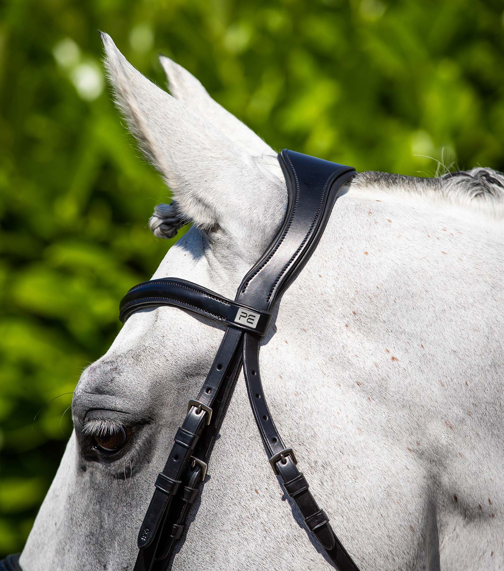کلهگیر اسب Premier Equine کد PE 8015-PBLK — 2