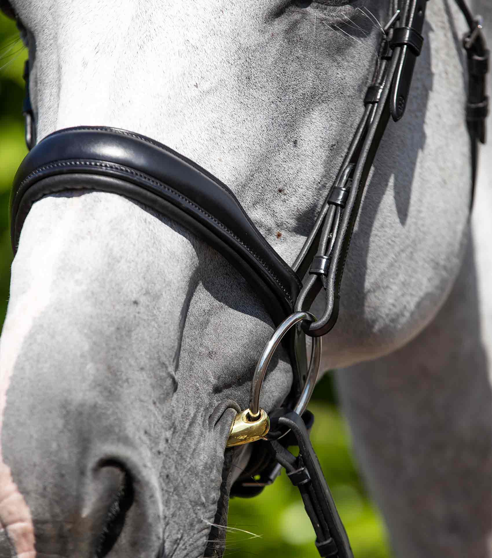 کلهگیر اسب Premier Equine کد PE 8015-PBLK — 3