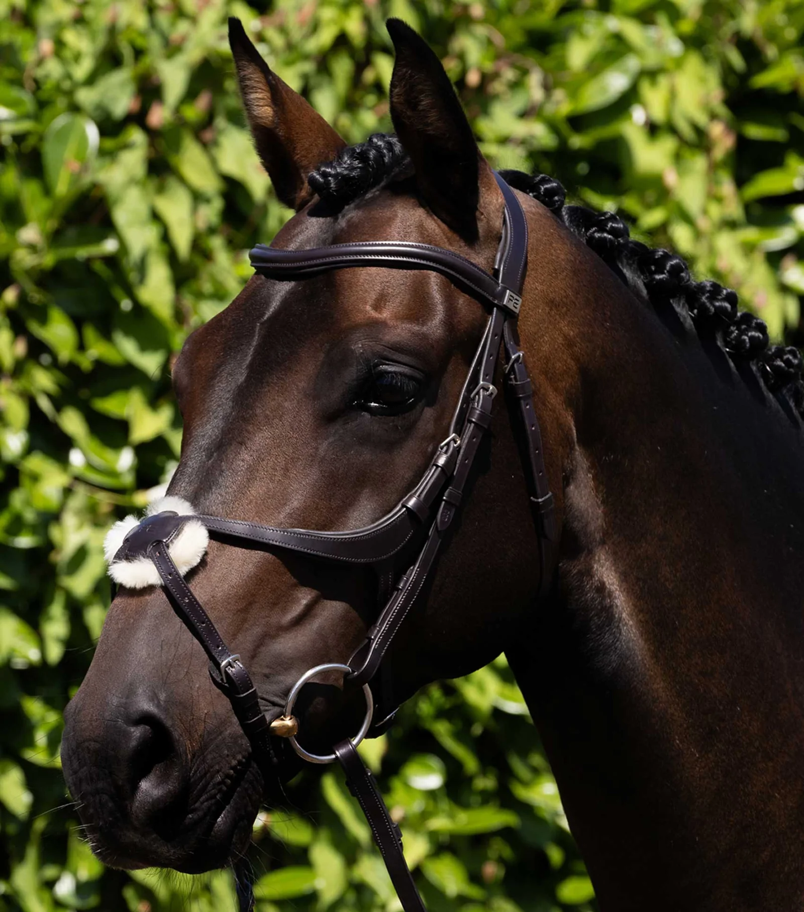 کلهگیر اسب Premier Equine کد PE 8016-FBRW — 1