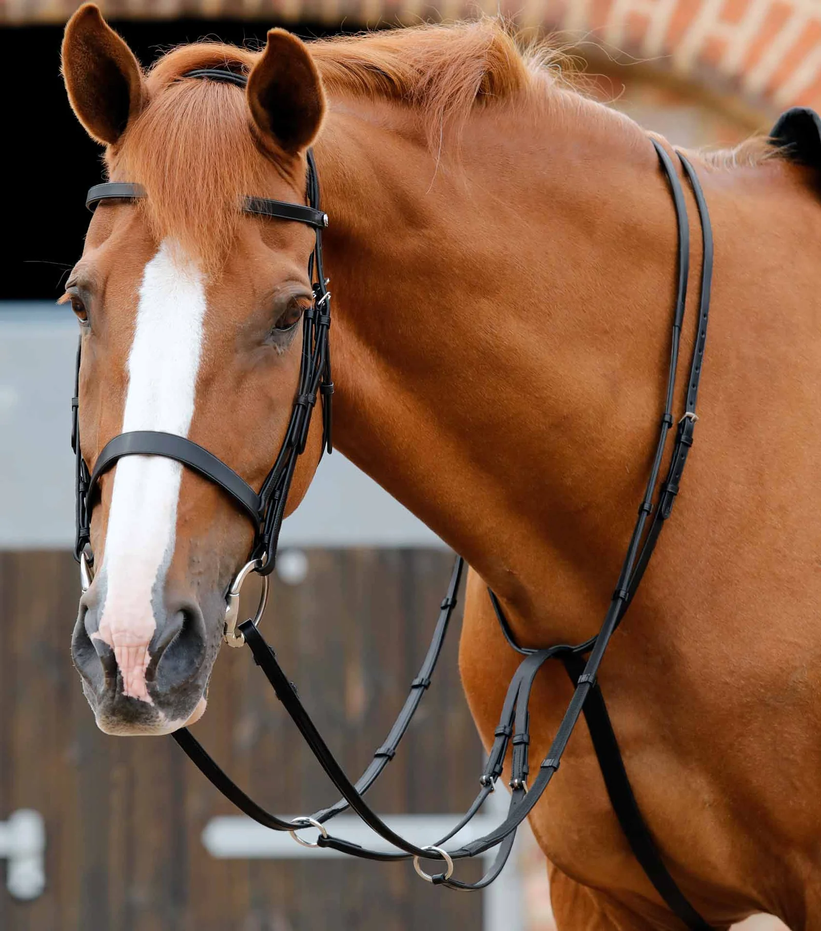 مارتینگل کشویی قابل تنظیم Premier Equine — 3