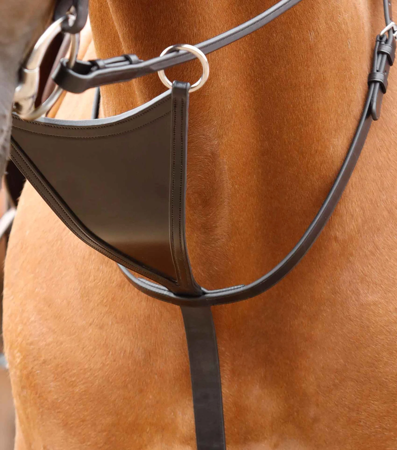 محصول Premier Equine کد PE 8029 FBLK — 2