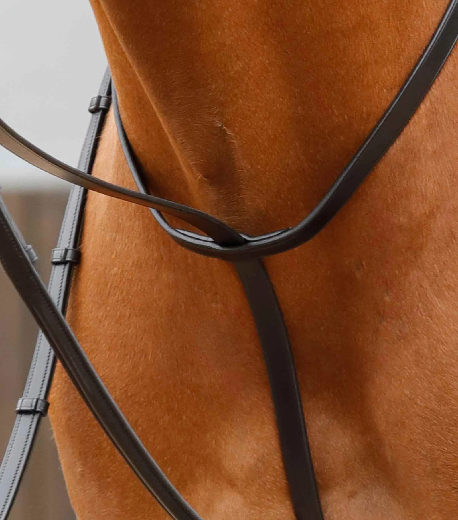 محصول Premier Equine کد PE 8030-FBLK — 2