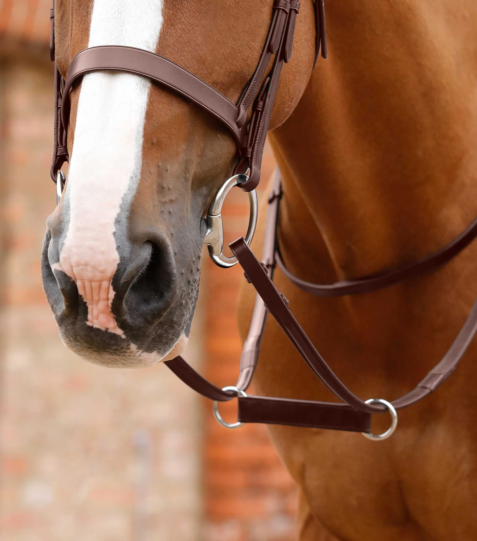 مارتینگل ایرلندی Premier Equine مدل Esperia — 2