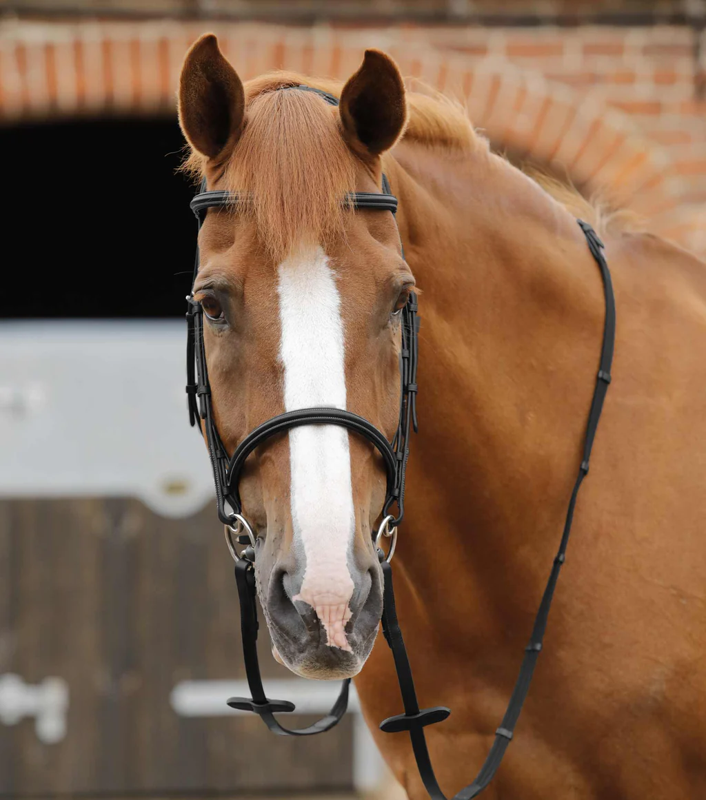 دستجلو Premier Equine کد PE 8040-BLK — 4