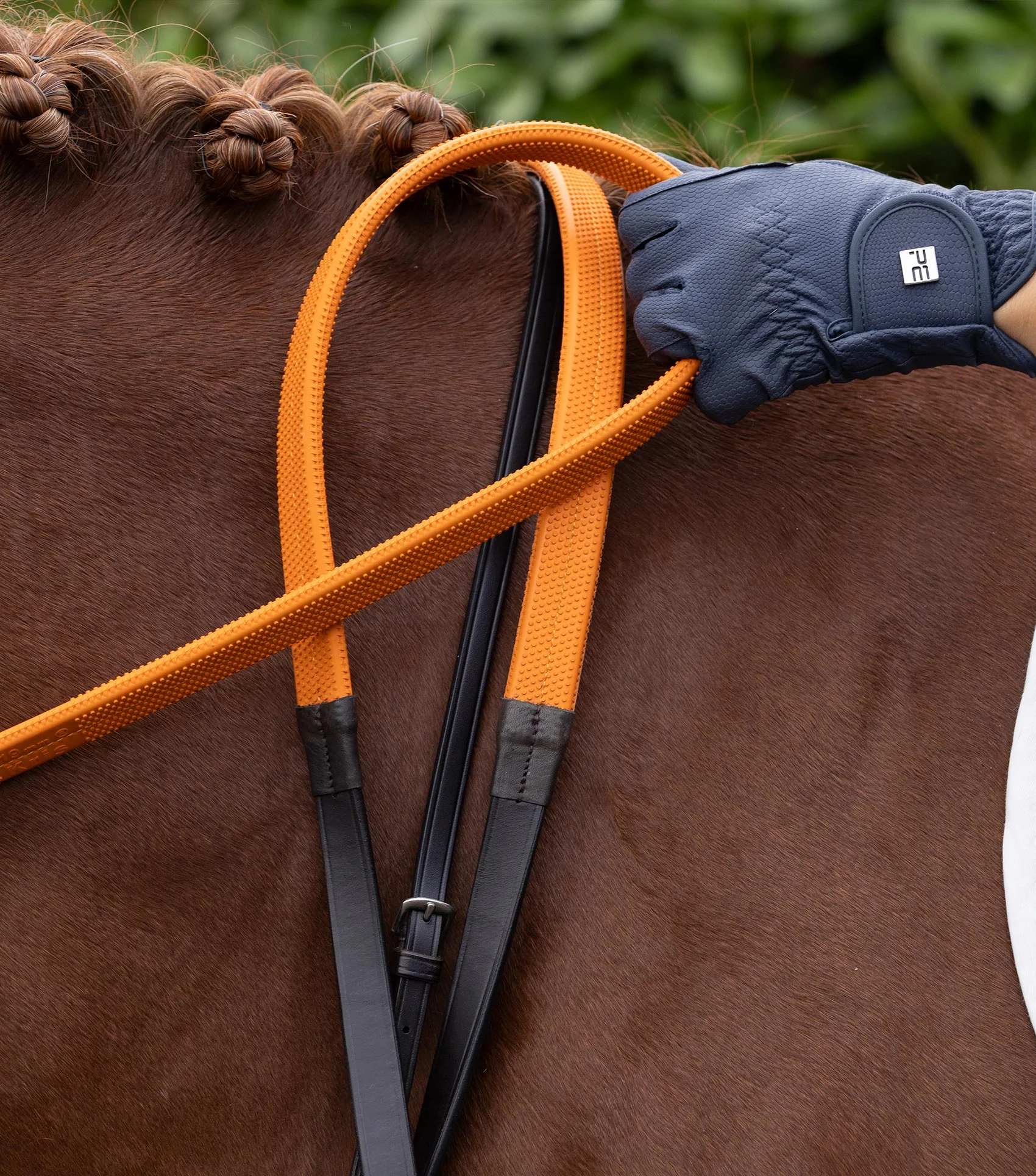 دستجلو Premier Equine کد PE 830658BRW — 4