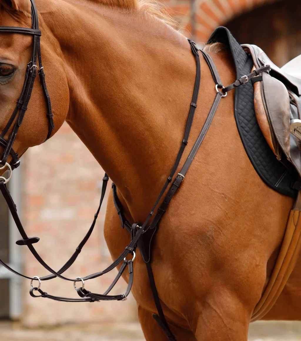 سینهبند اسب Premier Equine سایز cob و full — 2