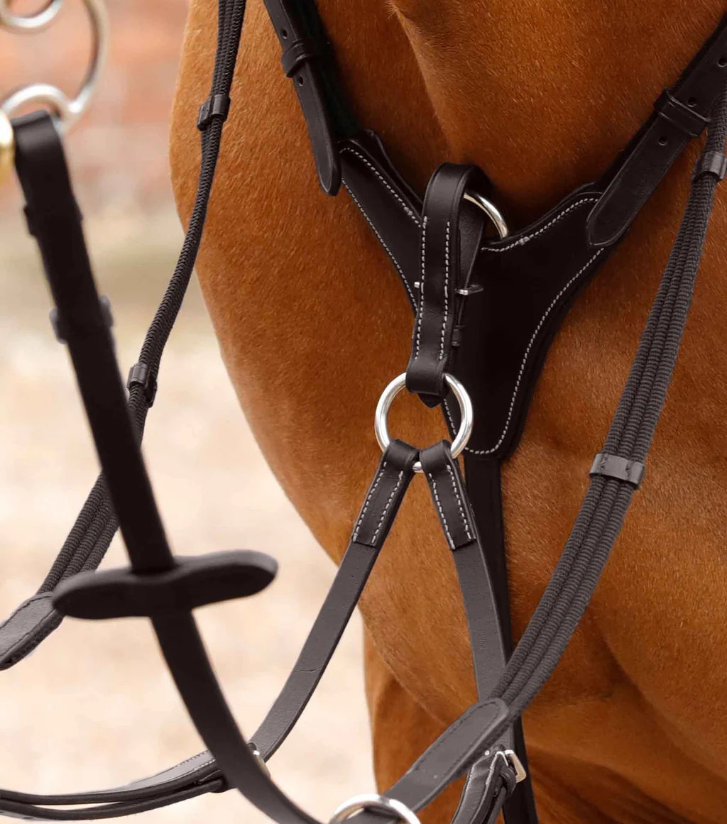 سینهبند اسب Premier Equine سایز cob و full — 3
