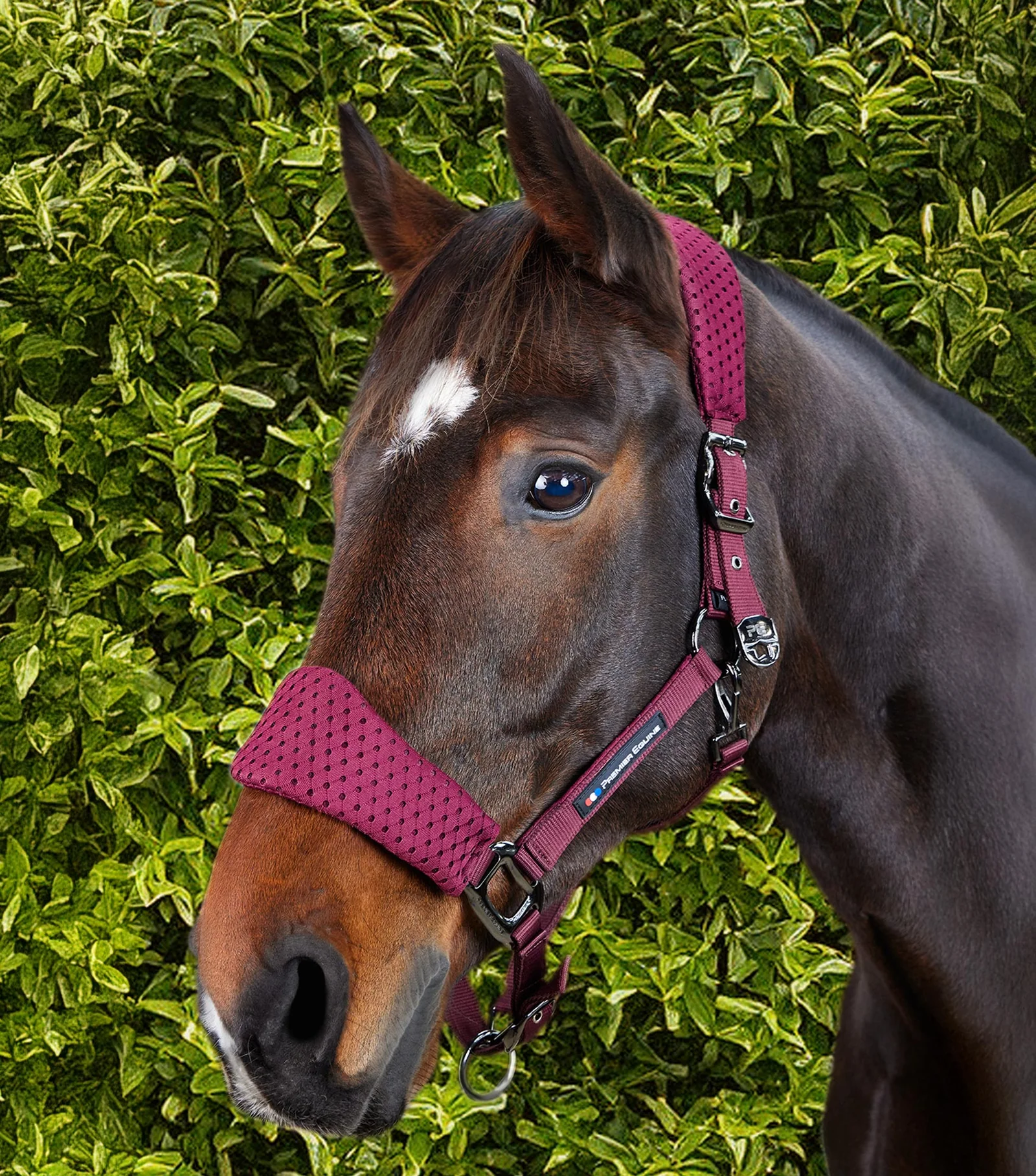 ست کلهگی و طناب هدایت اسب Premier Equine مدل Necto 3D — 2
