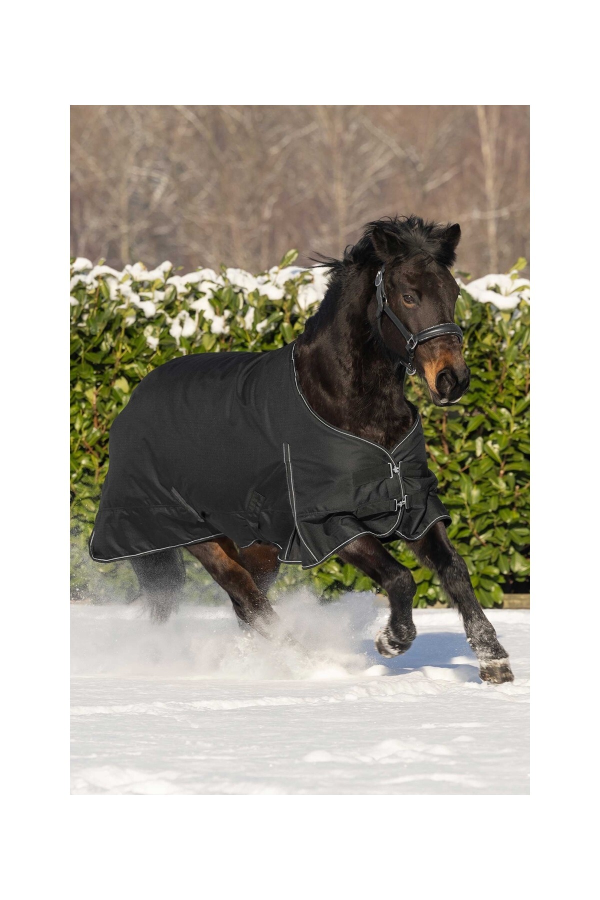 پتو فضای باز Waldhausen Nordic 200g ضدآب — 3
