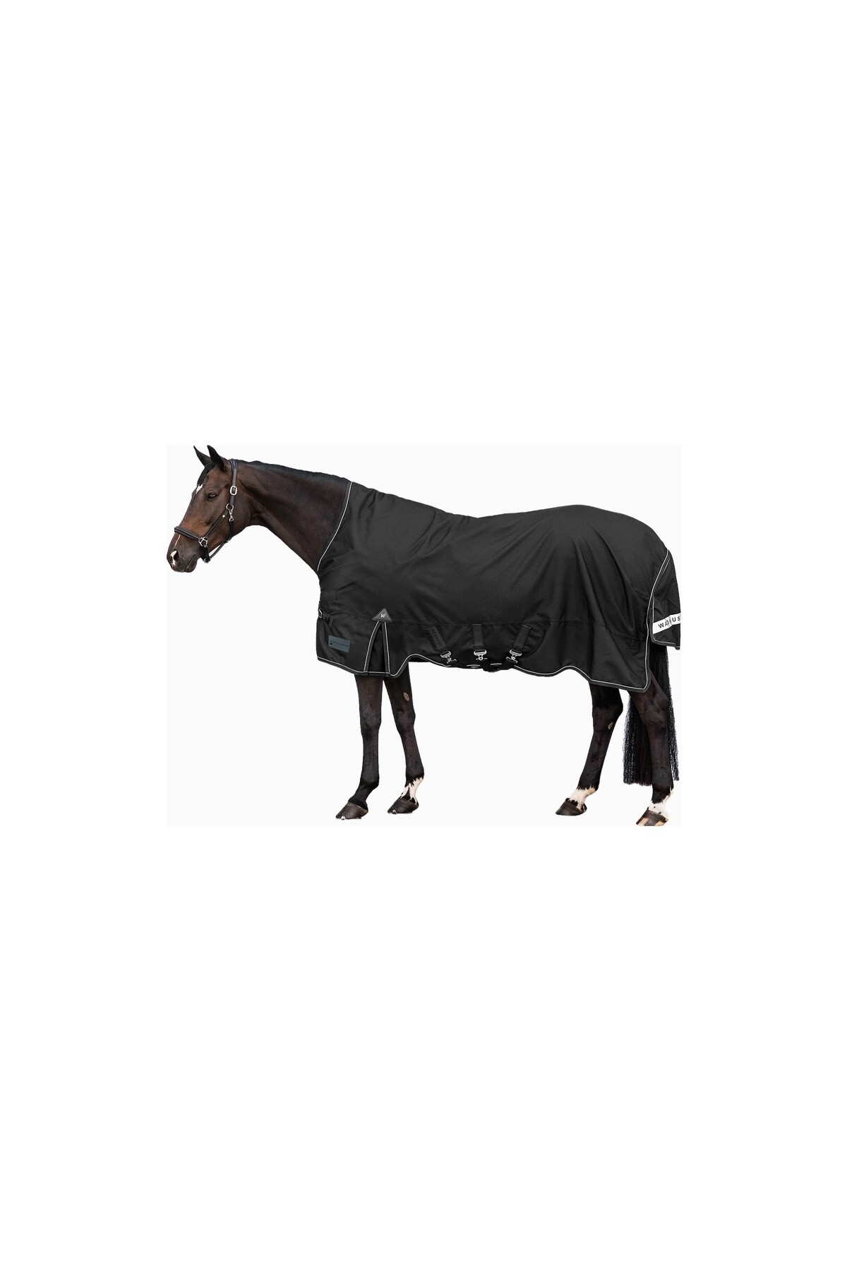 پتو Turnout فضای باز اسب Waldhausen مدل Scandic High Neck 100g