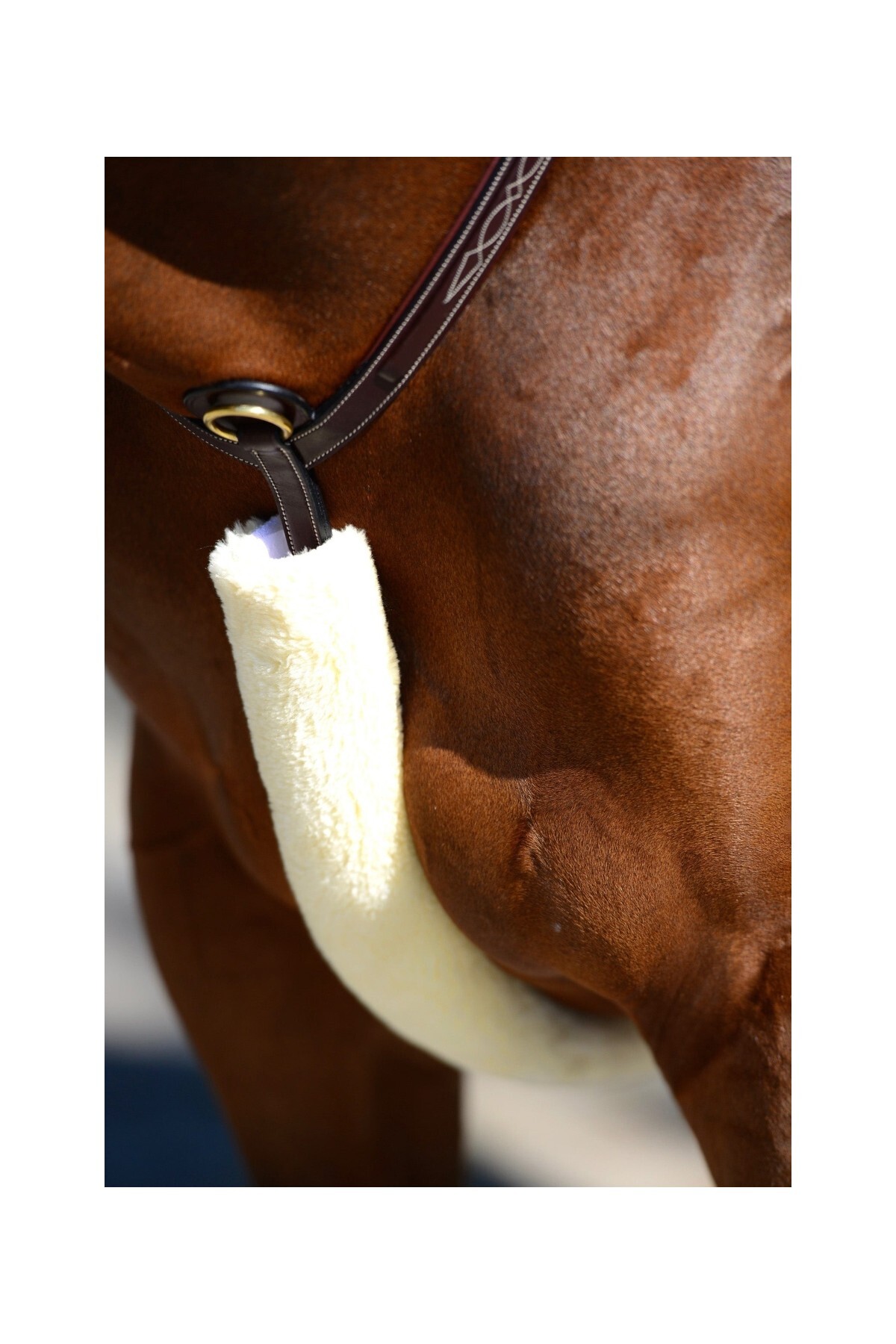محافظ بند سینه اسب KENTUCKY HORSEWEAR