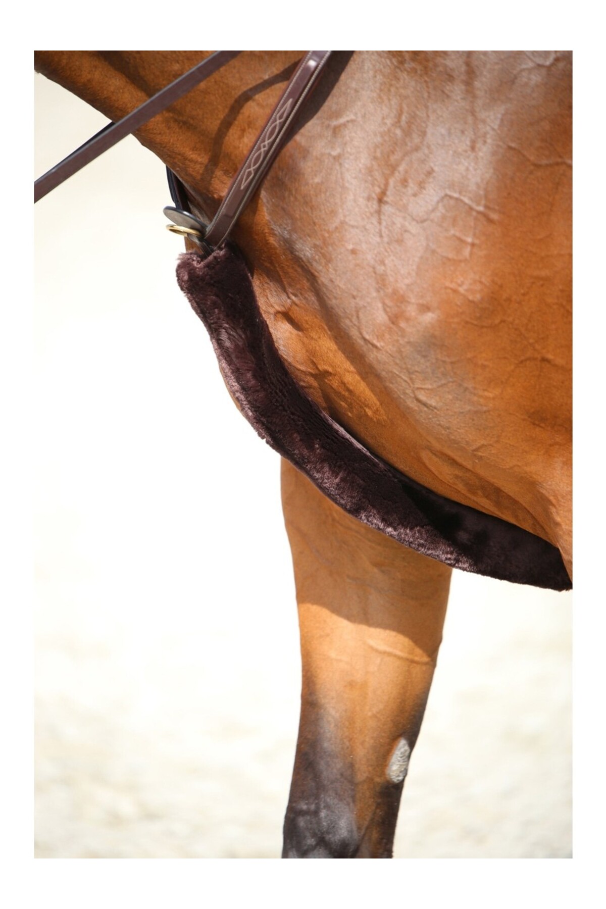 محافظ بند سینه اسب KENTUCKY HORSEWEAR