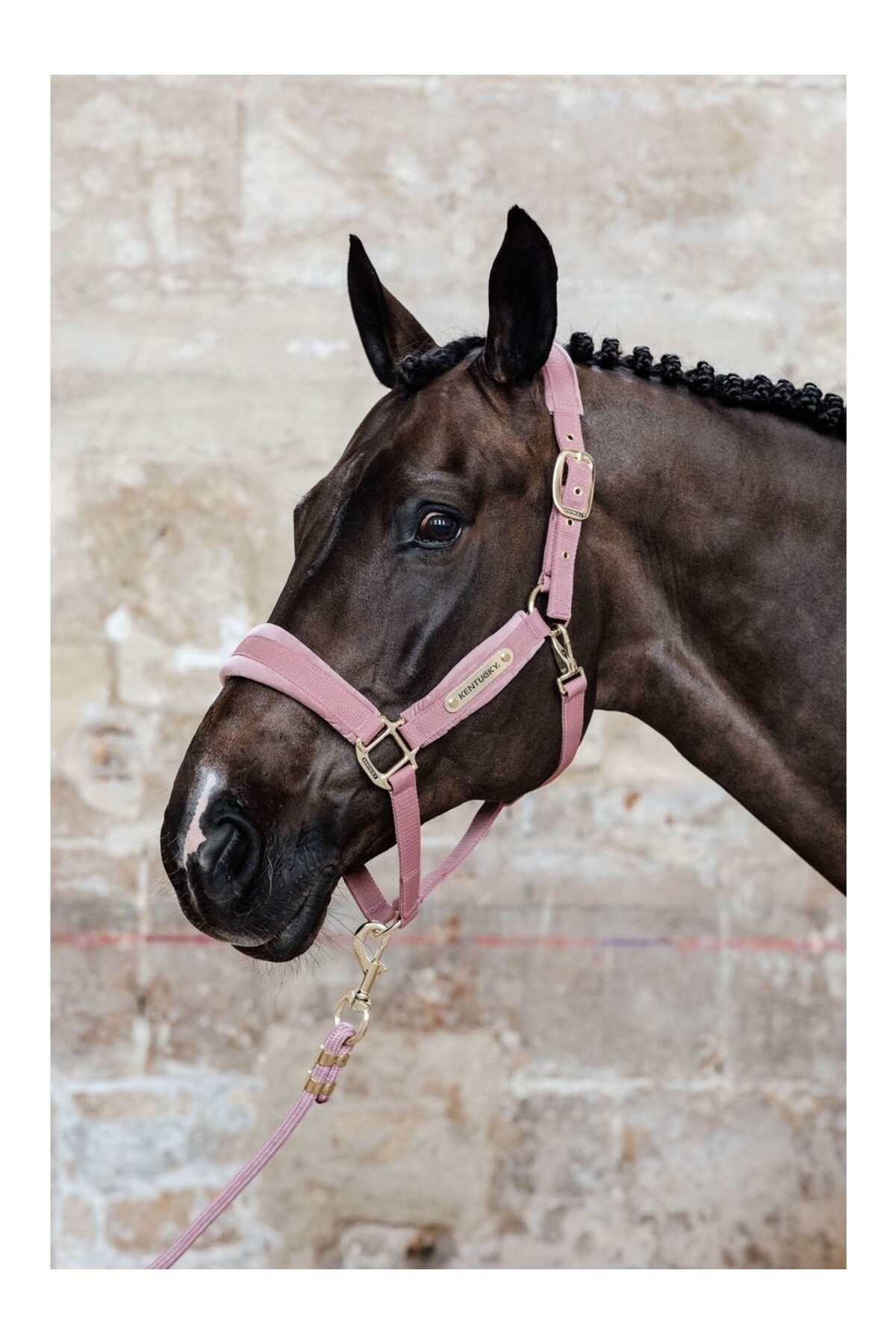 کلهگی مخملی اسب KENTUCKY HORSEWEAR Velvet — 2