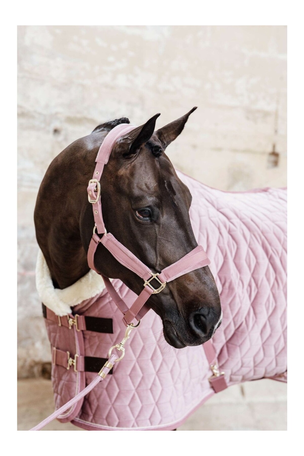 کلهگی مخملی اسب KENTUCKY HORSEWEAR Velvet — 3