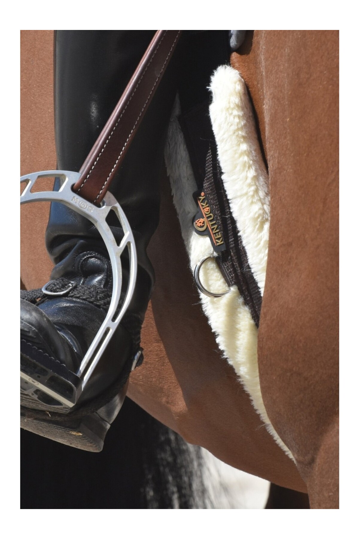 تنگ اسب پوست بره KENTUCKY HORSEWEAR — 2