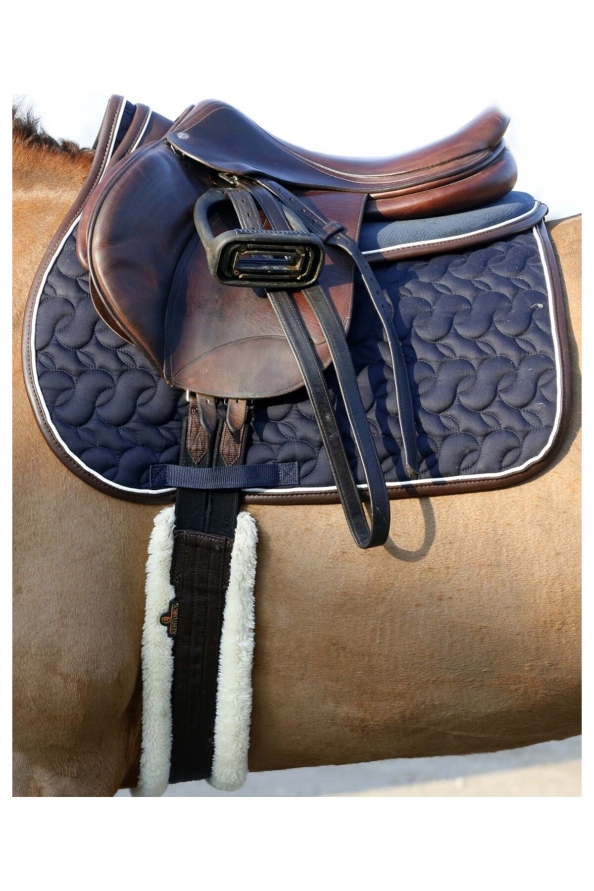 تنگ اسب KENTUCKY HORSEWEAR Lambskin — 2