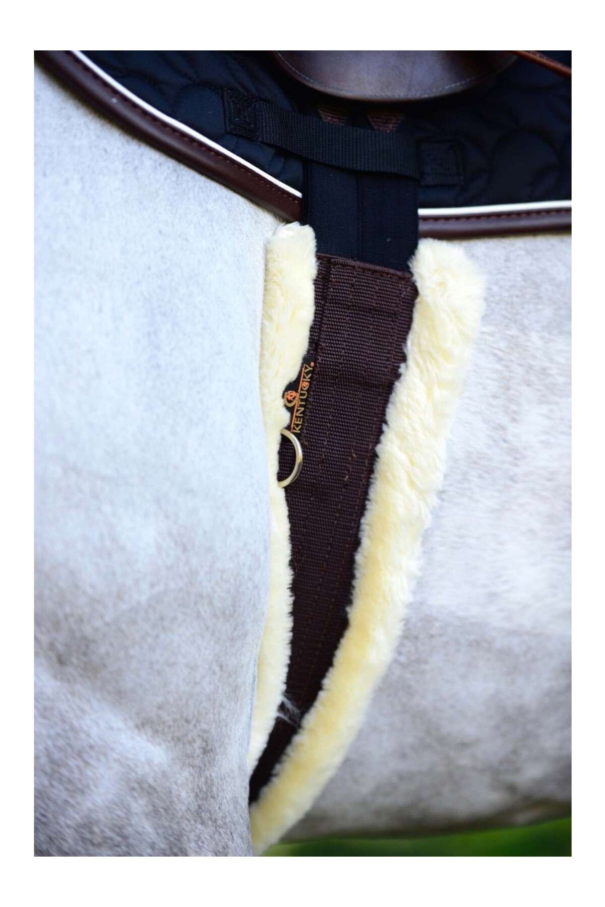 محافظ شکم اسب KENTUCKY HORSEWEAR با پوشش مصنوعی پوست بره — 3