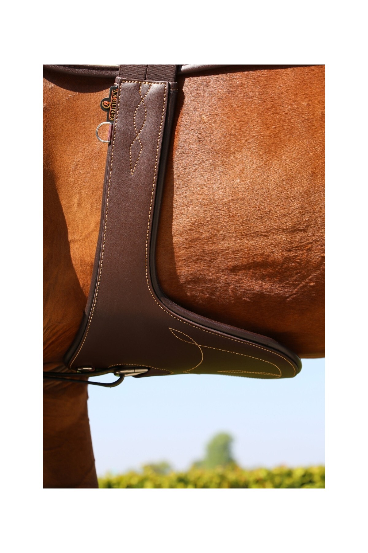 تنگ محافظ مهمیز اسب KENTUCKY HORSEWEAR، ۱۴۰ سانتی‌متر — 2