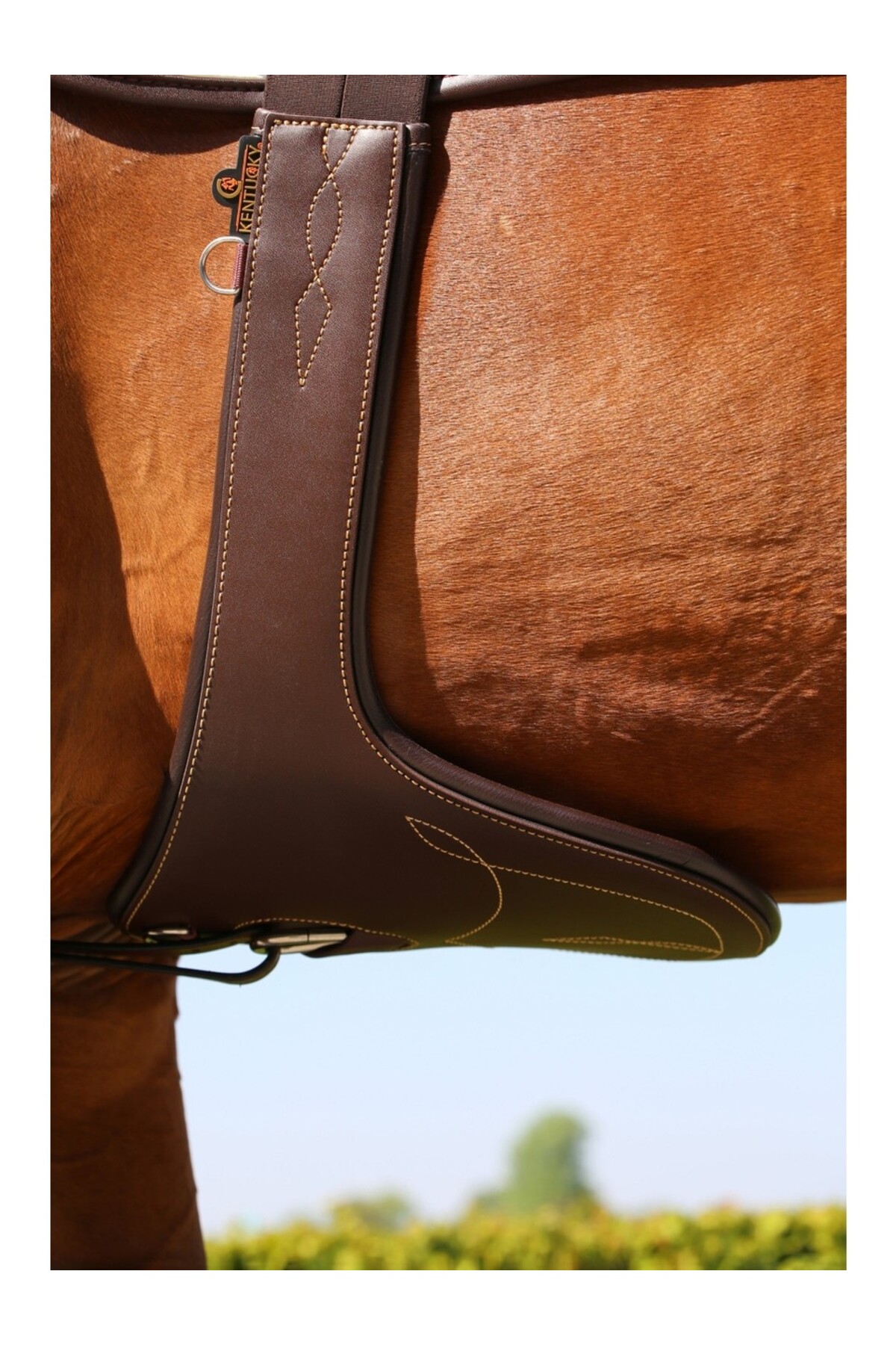 محافظ شکم اسب KENTUCKY HORSEWEAR — 2