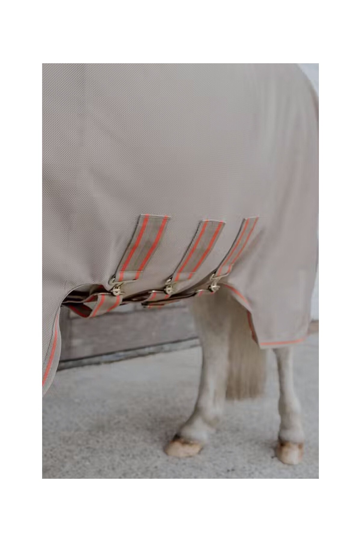 پتو ضد حشره اسب KENTUCKY HORSEWEAR مدل Mesh Comfort — 5