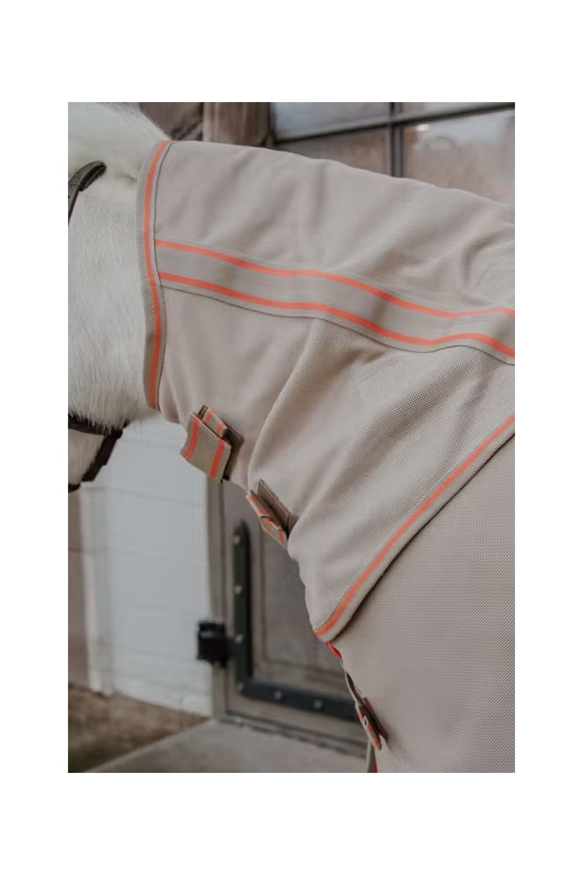 پتو ضد حشره اسب KENTUCKY HORSEWEAR مدل Mesh Comfort — 4