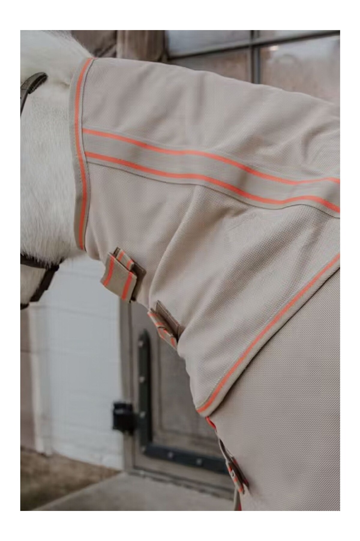 جل ضد مگس اسب کنتاکی هورسور مدل Mesh Comfort — 4