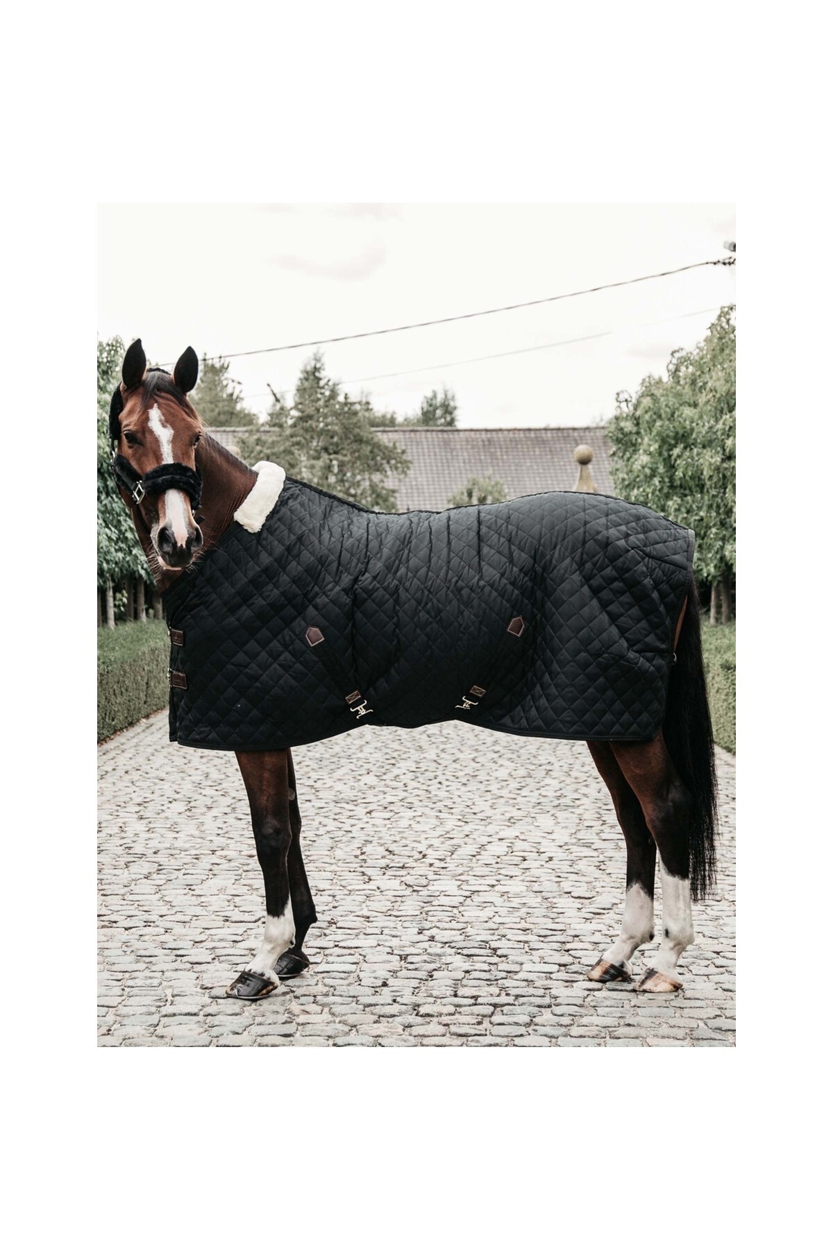 پتو اصطبل اسب KENTUCKY HORSEWEAR مدل Luxury 400G — 2