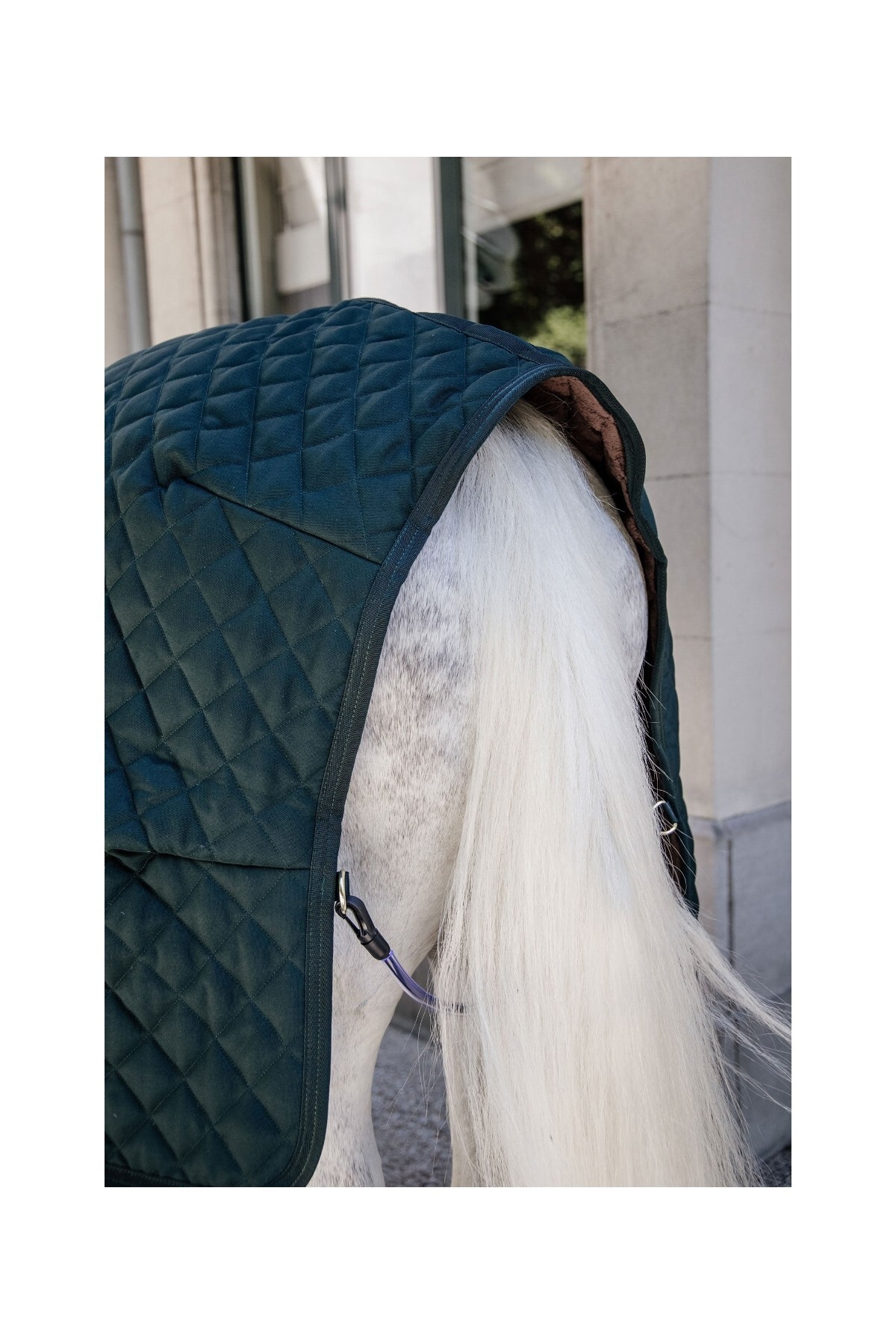 پتوی اصطبل اسب KENTUCKY HORSEWEAR مدل ۴۰۰ گرم سبز تیره ۱۶۰ — 4