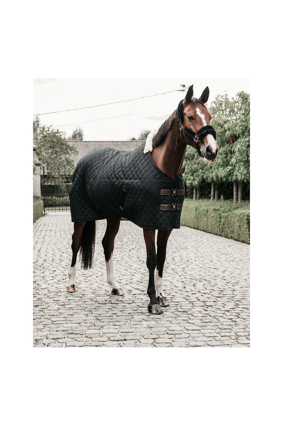 پتوی اصطبل اسب KENTUCKY HORSEWEAR مدل ۴۰۰ گرم سبز تیره ۱۶۰ — 2
