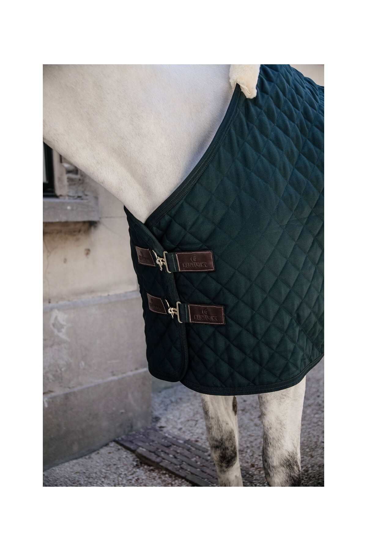پتو اصطبل اسب KENTUCKY HORSEWEAR مدل Luxury 400G — 3