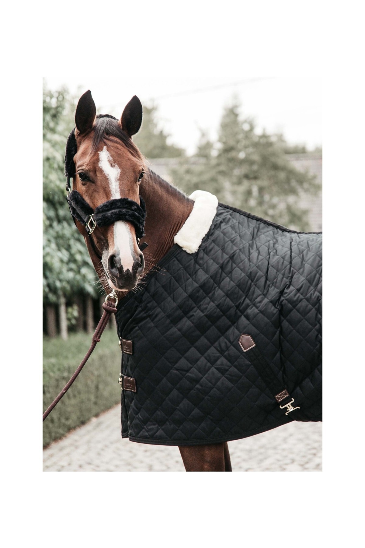 پتو اصطبل اسب KENTUCKY HORSEWEAR — 4