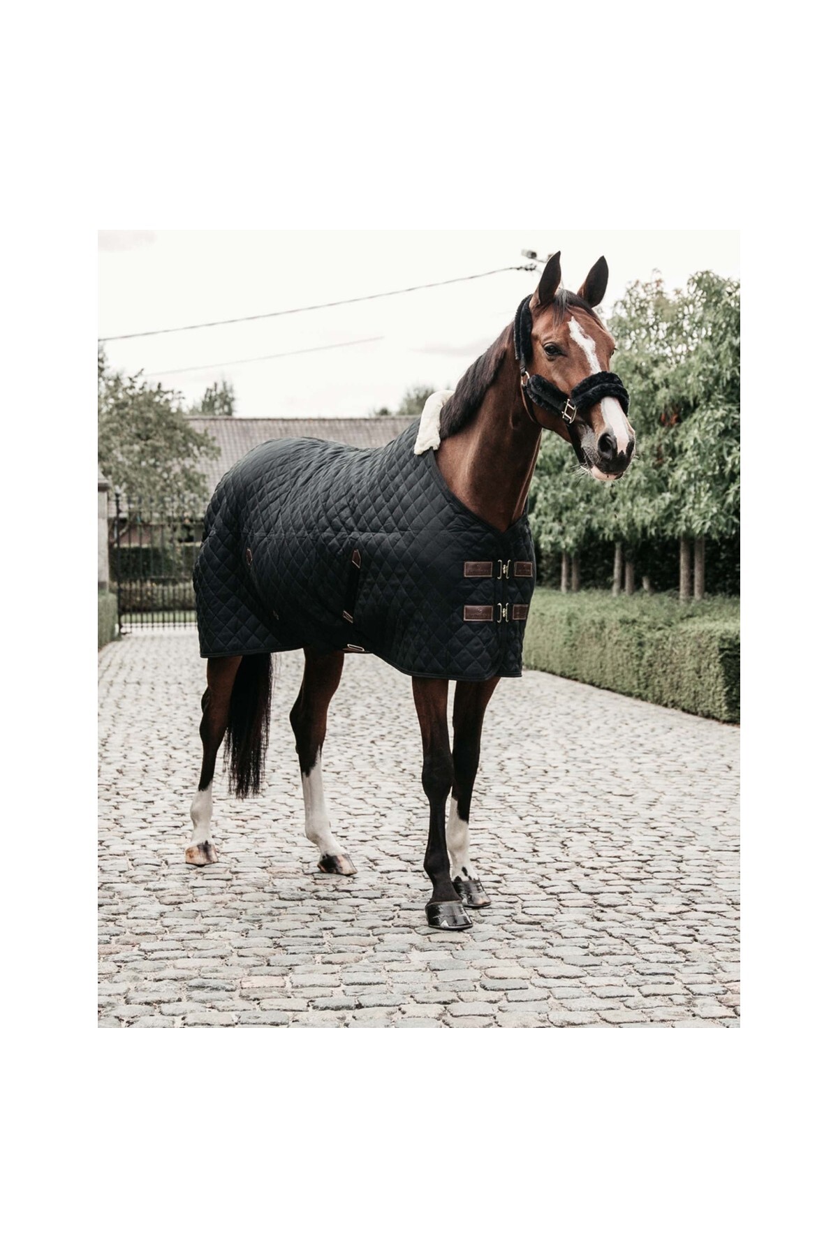 پتو اصطبل اسب KENTUCKY HORSEWEAR — 5