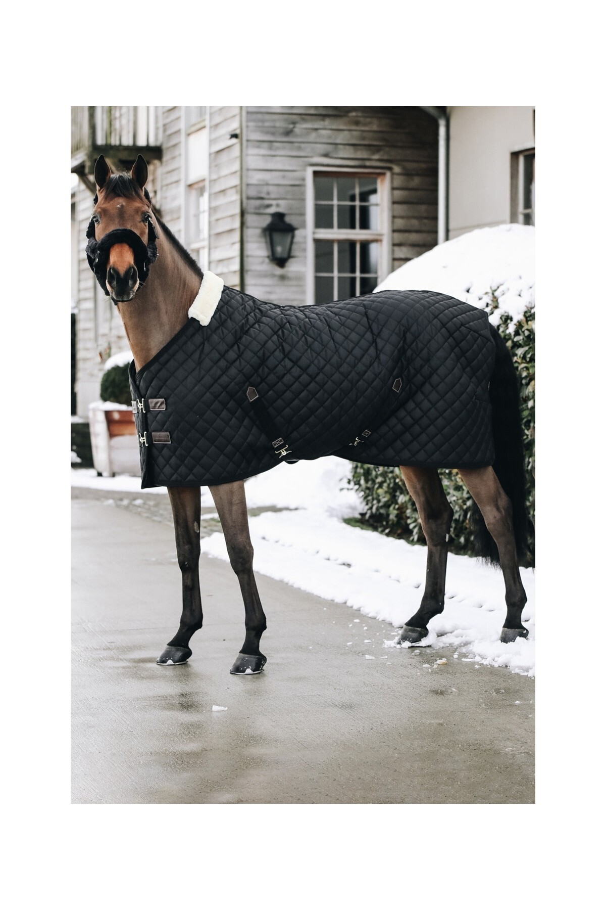 پتو اصطبل اسب KENTUCKY HORSEWEAR — 3