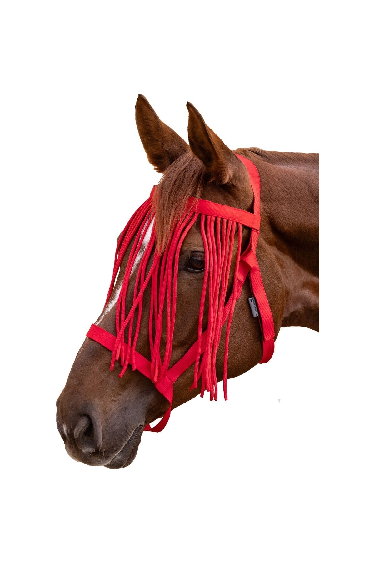 کله‌گی مرتعی Waldhausen مدل Fly Fringe
